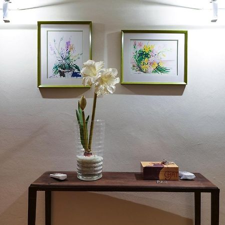 Contempora Apartments - Fiori Chiari 26 米兰 外观 照片